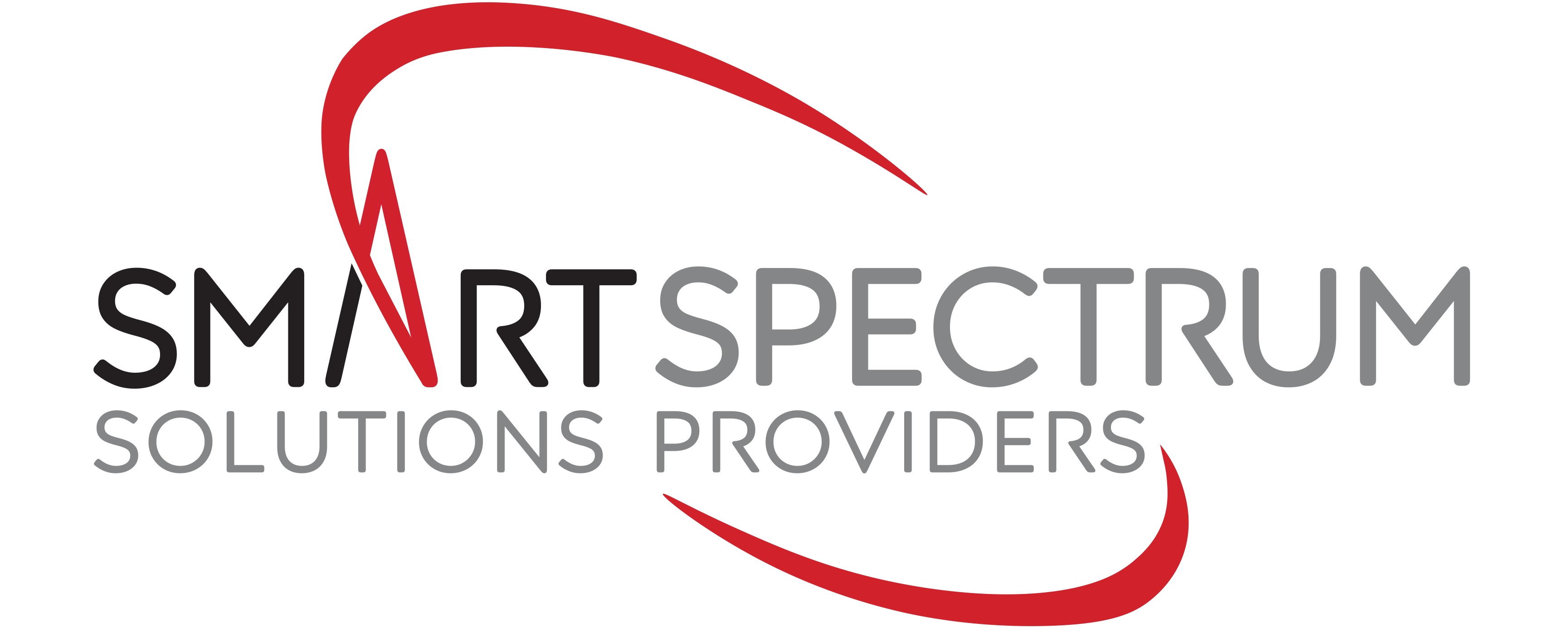 Smart Spectrum Solutions Providers logo
